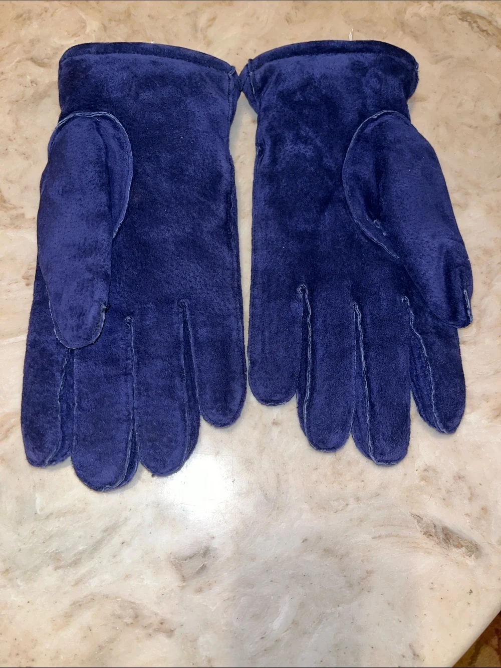 Aris Navy Blue Suede Gloves with Snap Detail at Wrist